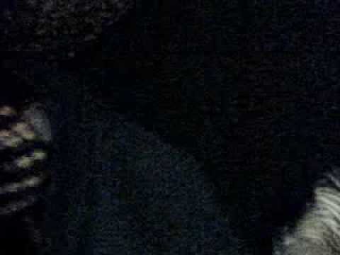 Re: Kempi - Buschauffeur