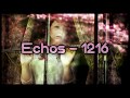 Echos - 1216 [Lyrics on screen]