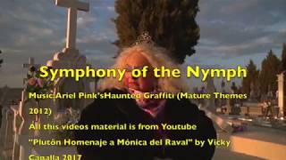 Ariel Pink&#39;s Haunted Graffiti - Symphony Of The Nymph