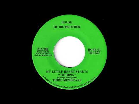 Third Membrane - My Little Heart Starts "Thumpin" [House Of Big Brother] 1971 Pop 45 Video