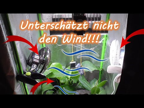 Wie lange den Ventilator in der Growbox rennen lassen? Ab wann? Position? Immer an? Dauerbetrieb?