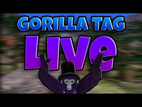 🔴Doing Random Stuff Until Midnight LIVE With Viewers! (Gorilla Tag + other games)  🔴