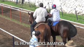 LA GALLINA VS EL ROYAL PROCLAMATION