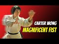 Wu Tang Collection Magnificent Fist