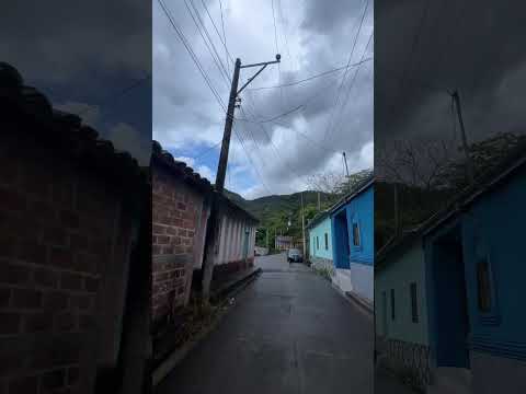 Vainillas el carrizal chalatenango 🇸🇻