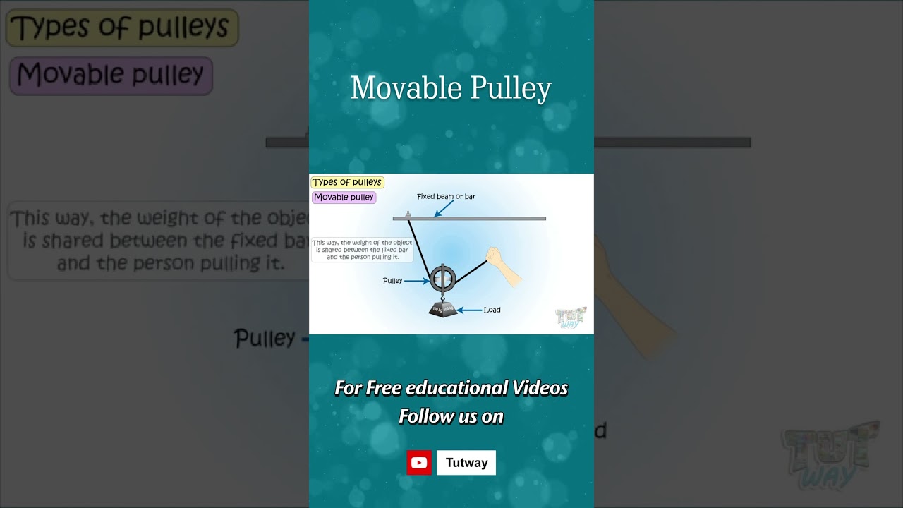 Pulley | Types of Pulley | Movable Pulley | Types, Examples, Features | Science #shorts