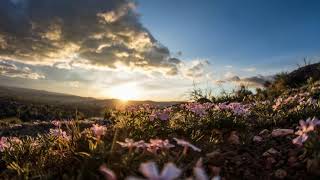 Download lagu quran 003 - Beautiful Voice & Recitation Of Surah Al Imran By Mishary Rashid Alafasy mp3 Download lagu quran 003 - Beautiful Voice & Recitation Of Surah Al Imran By Mishary Rashid Alafasy mp3