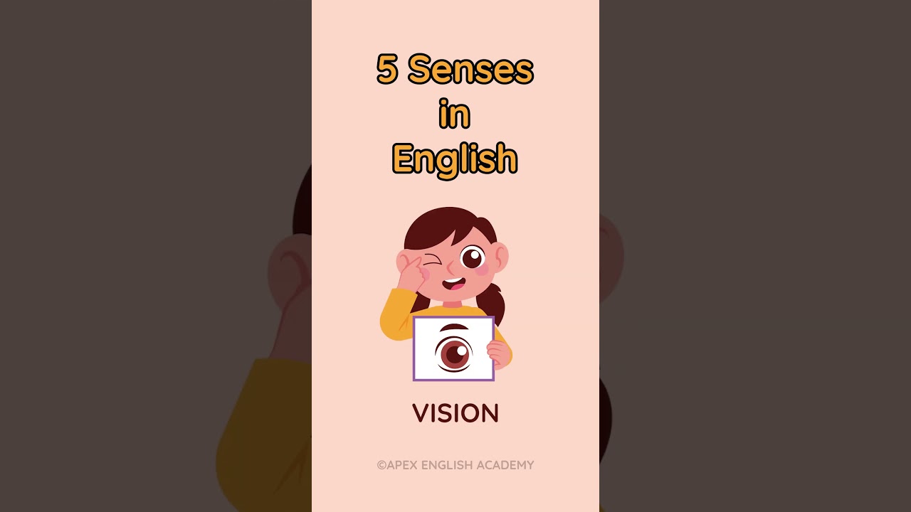 5 senses in English