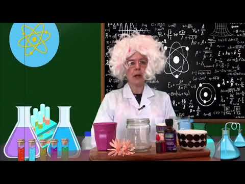 Maribyrnong Libraries - Junior Science - The Air freshener activity