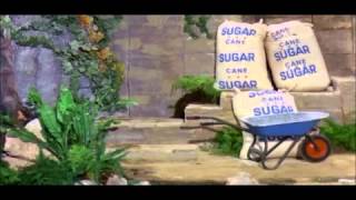 Cover art for ITS TAZZ