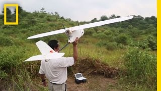 Onward: Drones Overhead — Protecting Orangutans from Above
