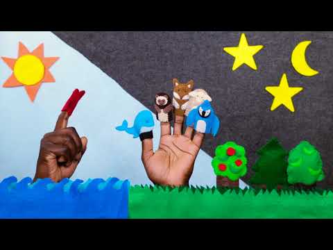 Witness21 Editor  2018 08 13