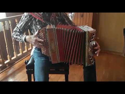 Harmonika po domače