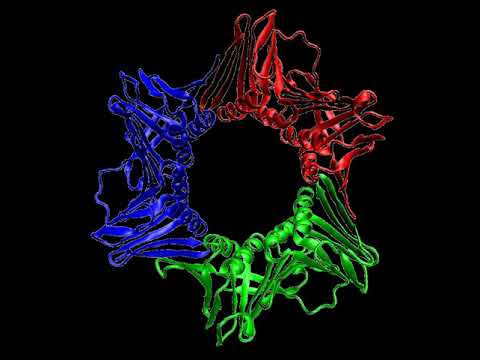 Trimer (biochemistry) | Wikipedia audio article