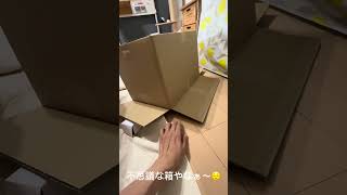 ダンボールで遊ぶ猫たちがこちら　#おもしろ猫動画  #かわいい猫動画  #みんな猫になれたらいいのに
