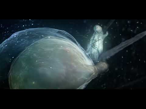 Videoclip de Nature Is Ancient — Björk