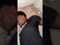When You Hear FUNK DO BOUNCE While Napping Funk Phonk Viral