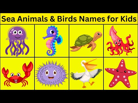 Kids vocabulary - Sea Animals and Sea Birds- Learn English for kids - English educational video