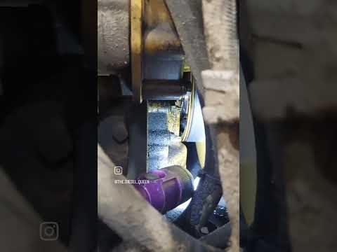 Front main seal leak.  I am wearing invisaligns so sorry for my voice. #diesel #femalemechanic