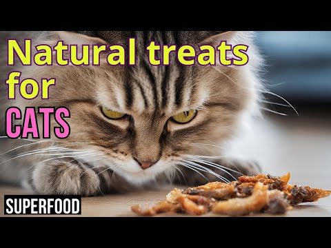 Purr-fect Natural SNACKS for Your Feline Friends! HEALTHY & HAPPY