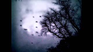 The Ravens(Tristania cover)
