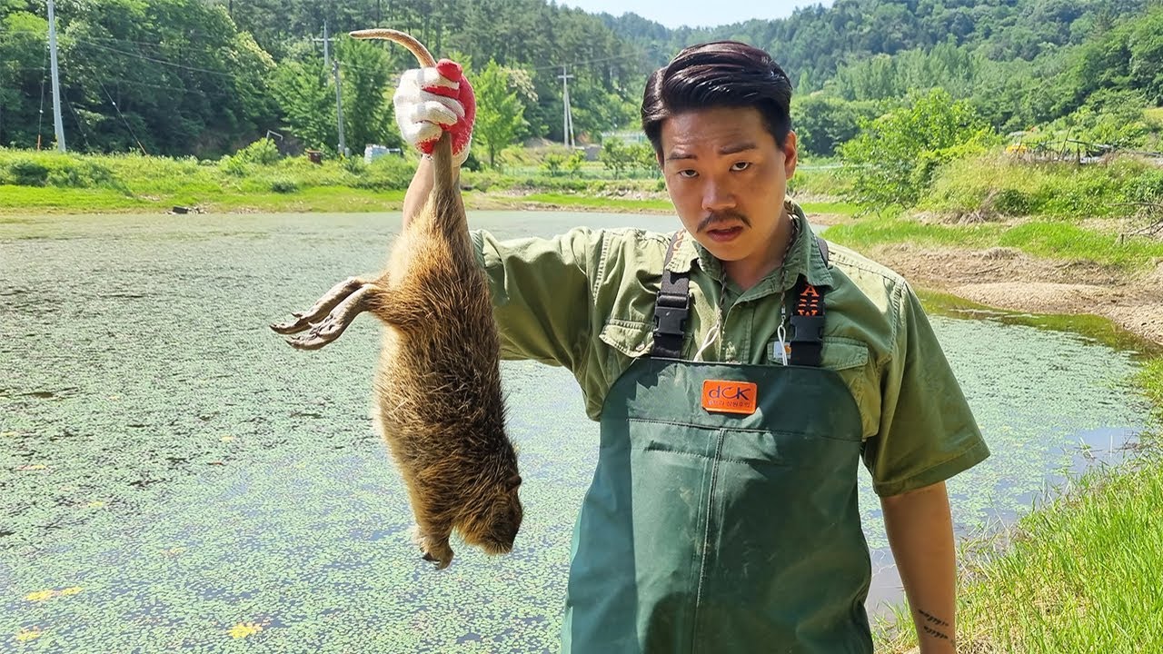 뉴트리아를 잡아서 에어프라이기에 넣어서 먹어보자!