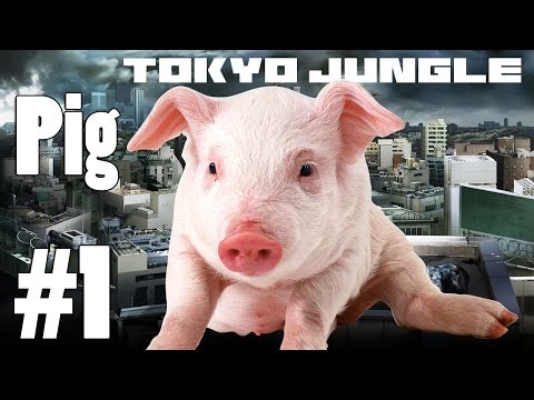 Tokyo Jungle: Pig Survive over 100 years Part 1 of 4
