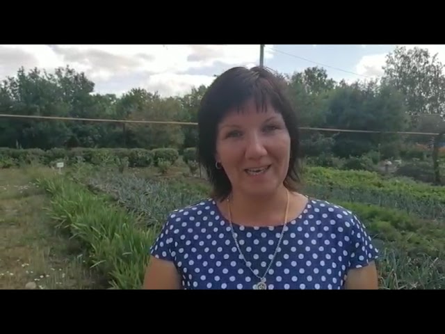 Азнакай укучысы бәрәңге кортын җыюны җайланмасы уйлап тапкан