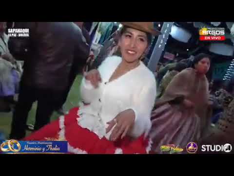 WILI ROJAS En vivo 2026 En La Paz Sapahaqui Mix exitos completos 