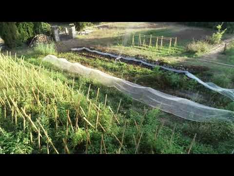 Découvrez aujourd&#039;hui !