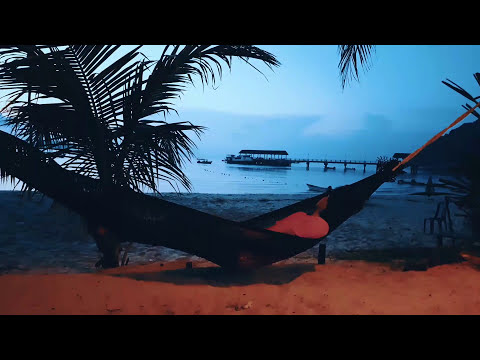 Tioman in Reverse ⏪