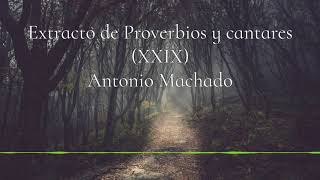 Extracto de Proverbios y cantares, de Antonio Machado