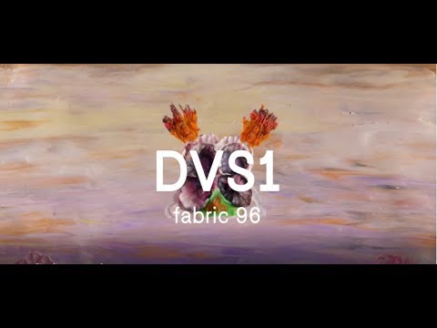 fabric 96: DVS1