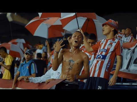 "Frente Rojiblanco Sur - #LaTribuna | Junior 1-0 Millonarios 2019" Barra: Frente Rojiblanco Sur &bull; Club: Junior de Barranquilla