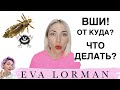 У Клиента ВШИ! Моя Смешная История!:)) От куда берутся вши! Вши как избавиться! У Клиента ВШИ! Моя Смешная История!:)) От куда берутся вши! Вши как избавиться!