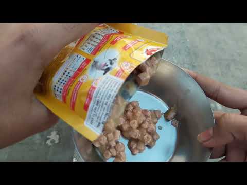 Pedigree puppy chicken chunks flavour in gravy