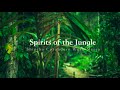 How to work with the spirits of the jungle by Shipibo Curandero