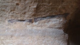 preview picture of video 'Geology and Fossils across rock layers at Petra Siq - Jordan'