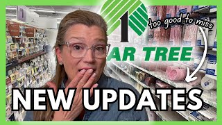 30 Dollar Tree Items You Should ALWAYS Buy (and insider secrets)