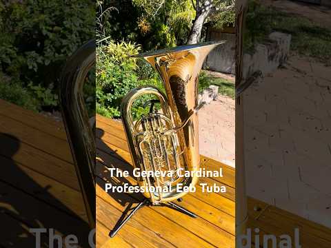 Tuba Eb. Geneva Cardinal JC Professional image 5
