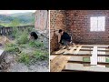 Une vieille maison abandonnée est rénovée et un homme est mis au défi de survivre seul