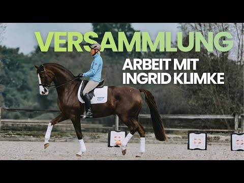 Versammlung verbessern | Dressurtraining mit Ingrid Klimke & Wilfried Gehrmann
