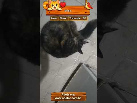 Vídeo de Brisa