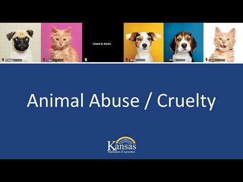 Animal Abuse & Cruelty