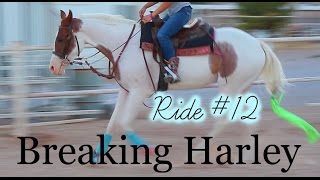 Riding Raws | Breaking Harley | Ride #12