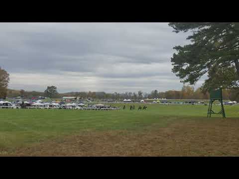 Montpelier Steeplechase Races 2017 p3