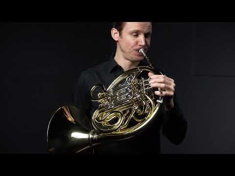 Valdhorn I Undervisningsmateriale