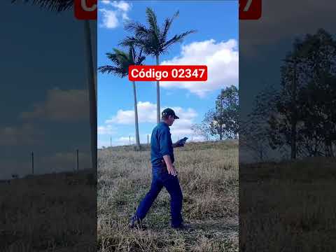 Sítio a venda no Paraná