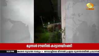 മൂന്നാറിൽ കാട്ടാനയുടെ മുന്നിൽ നിന്ന് യുവാവ് അത്ഭുത