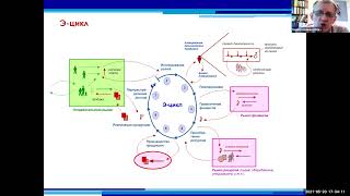 Верхоглазенко В.Н. Схема системного поиска разрывов в деятельности и конкретный пример.